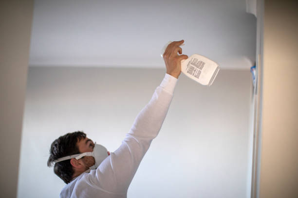 Best Certified Mold Removal  in Prosser, WA