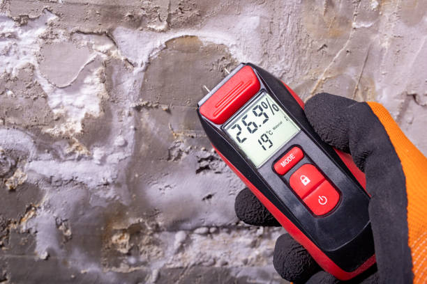 Best Fast Mold Removal  in Prosser, WA