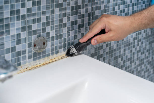 Best Residential Mold Removal  in Prosser, WA